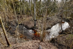 Nigras-taka-6